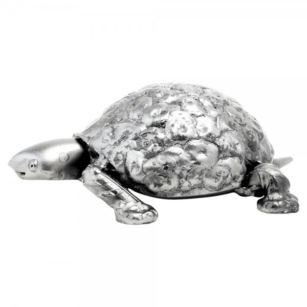 Schildkröte gross