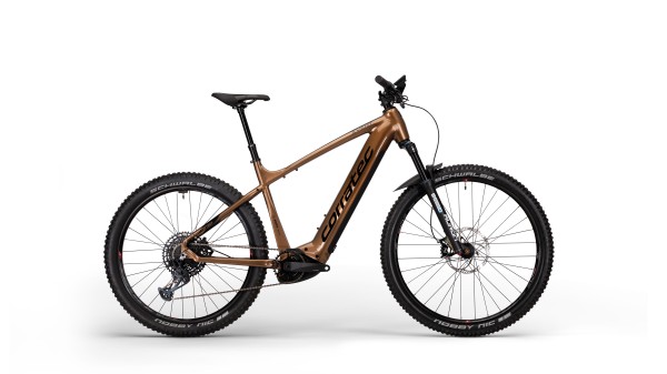 Corratec E-Power X Vert Factory BK28400